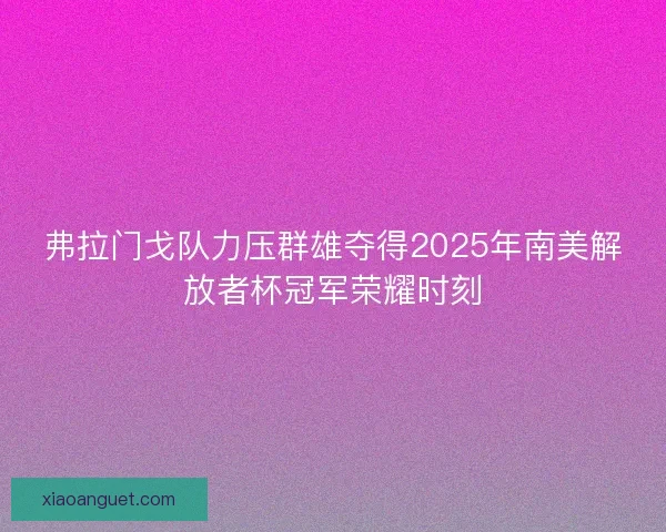 弗拉门戈队力压群雄夺得2025年南美解放者杯冠军荣耀时刻