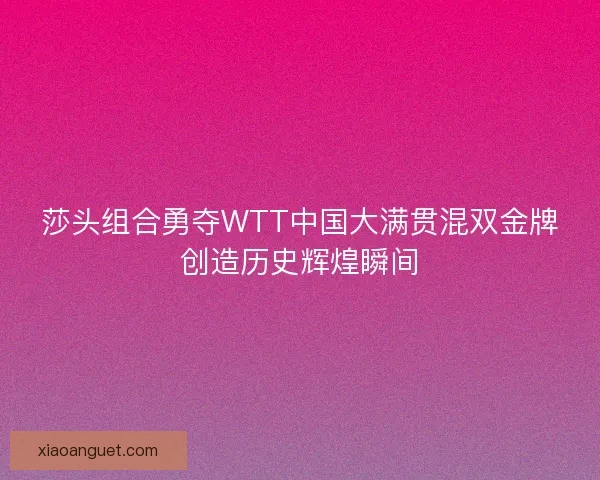 莎头组合勇夺WTT中国大满贯混双金牌创造历史辉煌瞬间 莎头组合勇夺WTT中国大满贯混双金牌创造历史辉煌瞬间