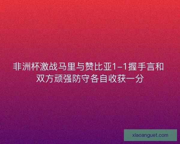 非洲杯激战马里与赞比亚1-1握手言和 双方顽强防守各自收获一分