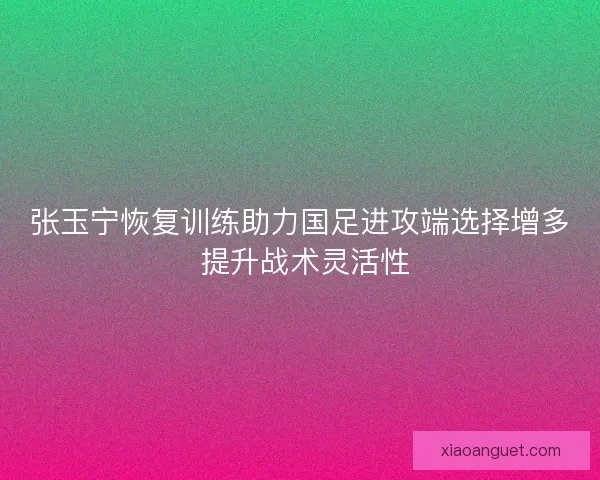 张玉宁恢复训练助力国足进攻端选择增多 提升战术灵活性