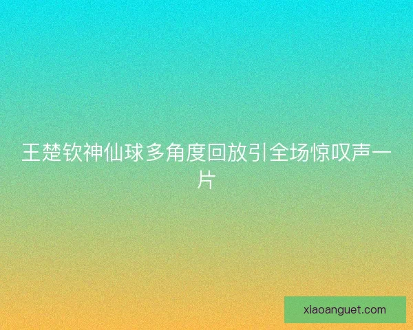 王楚钦神仙球多角度回放引全场惊叹声一片