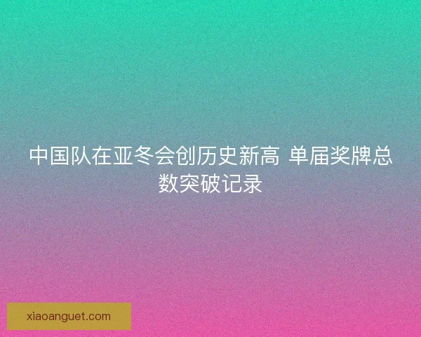 中国队在亚冬会创历史新高 单届奖牌总数突破记录
